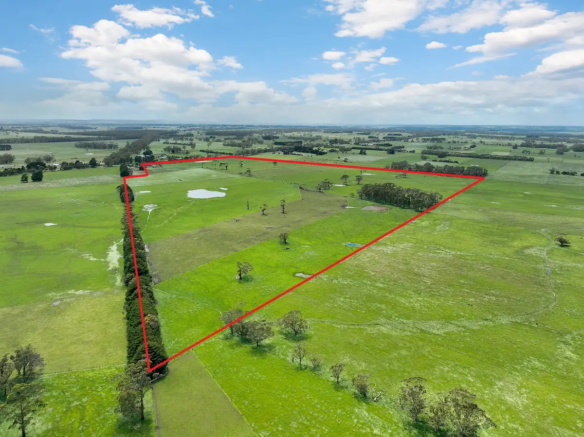 Main view of Homely rural property listing, 1500 Cobden-Warrnambool Road, Ecklin South VIC 3265