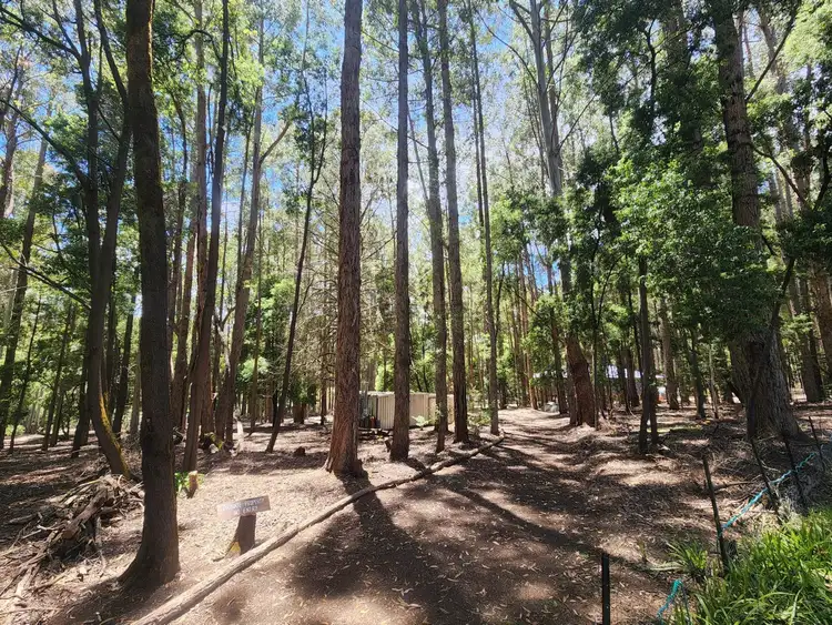 Second view of Homely land listing, LOT 133 Karri Lane, Quinninup WA 6258
