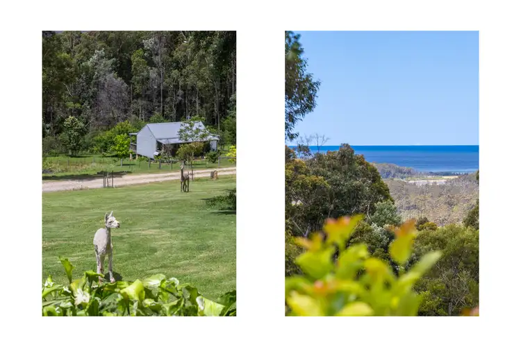 Fourth view of Homely rural property listing, 239 Old Princes Highway, Termeil NSW 2539