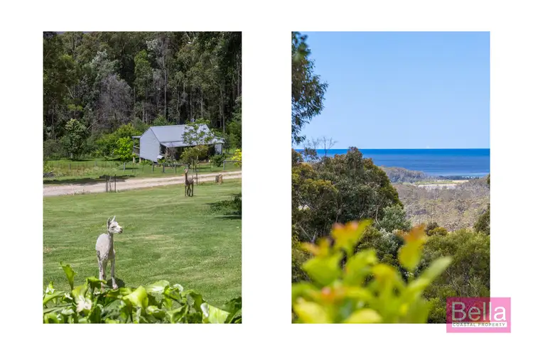 Fourth view of Homely rural property listing, 239 Old Princes Highway, Termeil NSW 2539
