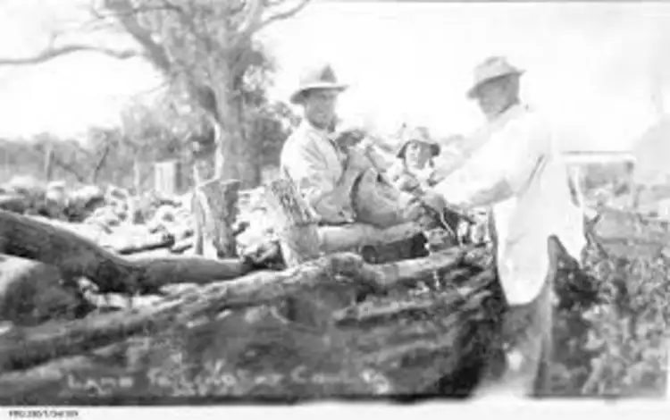 Sixth view of Homely land listing, Lot 62 South Terrace, Coulta SA 5607