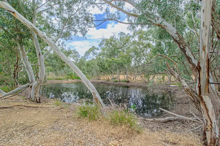 Fourth view of Homely rural property listing, 178 Campersic Road, Herne Hill WA 6056