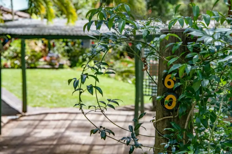 Main view of Homely rural property listing, 60 Oliver Road, Mount Elliot NSW 2250