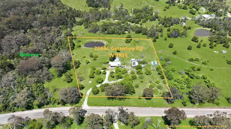 Second view of Homely house listing, 2384C Gelantipy Road, W Tree VIC 3885