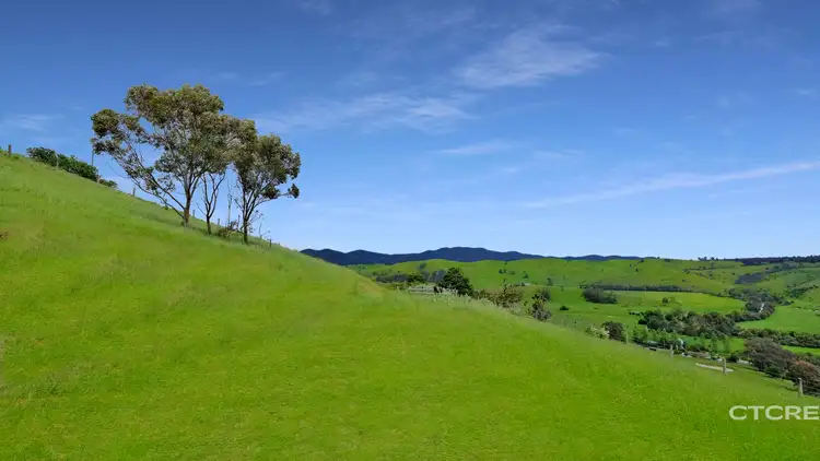 Fifth view of Homely land listing, 44 Woodgates Road, Buchan VIC 3885