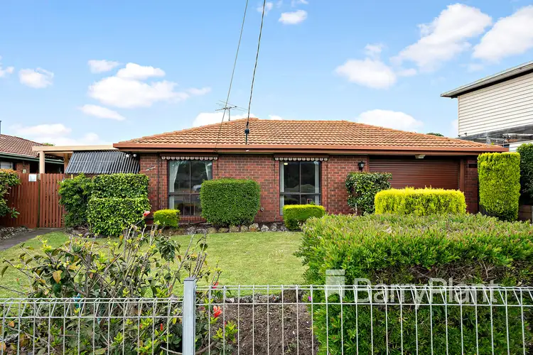 Main view of Homely house listing, 141 Boneo Road, Rosebud VIC 3939