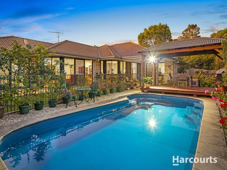 42 Lacebark Street, North Lakes QLD 4509