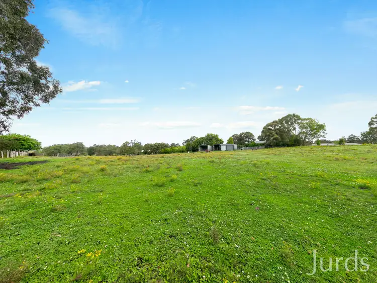 Fourth view of Homely rural property listing, 186 Tocal Road, Bolwarra Heights NSW 2320