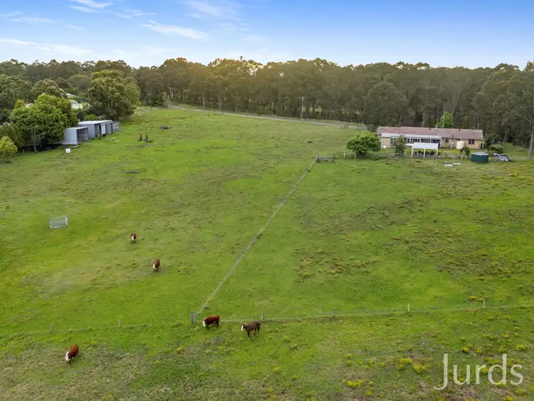 Fifth view of Homely rural property listing, 186 Tocal Road, Bolwarra Heights NSW 2320