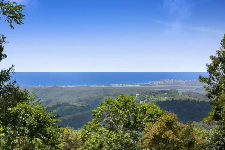 Second view of Homely rural property listing, 767 Trees Road, Currumbin Valley QLD 4223