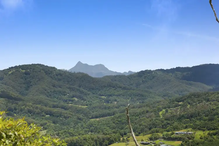 Third view of Homely rural property listing, 767 Trees Road, Currumbin Valley QLD 4223