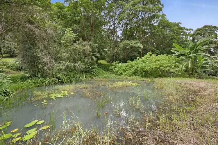 Fifth view of Homely rural property listing, 767 Trees Road, Currumbin Valley QLD 4223