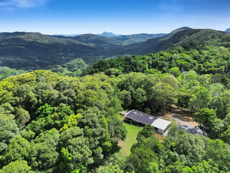 Sixth view of Homely rural property listing, 767 Trees Road, Currumbin Valley QLD 4223
