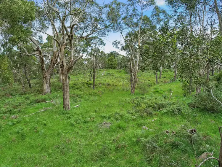 Third view of Homely land listing, LOT 4 Scoullers Road, Carpendeit VIC 3260