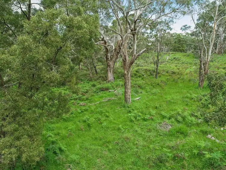 Fourth view of Homely land listing, LOT 4 Scoullers Road, Carpendeit VIC 3260