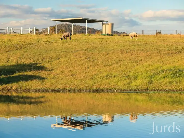 Seventh view of Homely rural property listing, 485 Luskintyre Road, Luskintyre NSW 2321