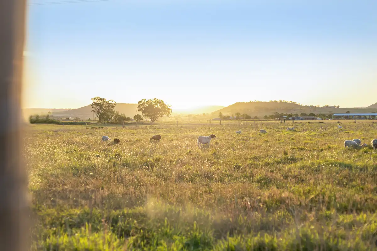 Main view of Homely rural property listing, 348 Allen Road, East Greenmount QLD 4359