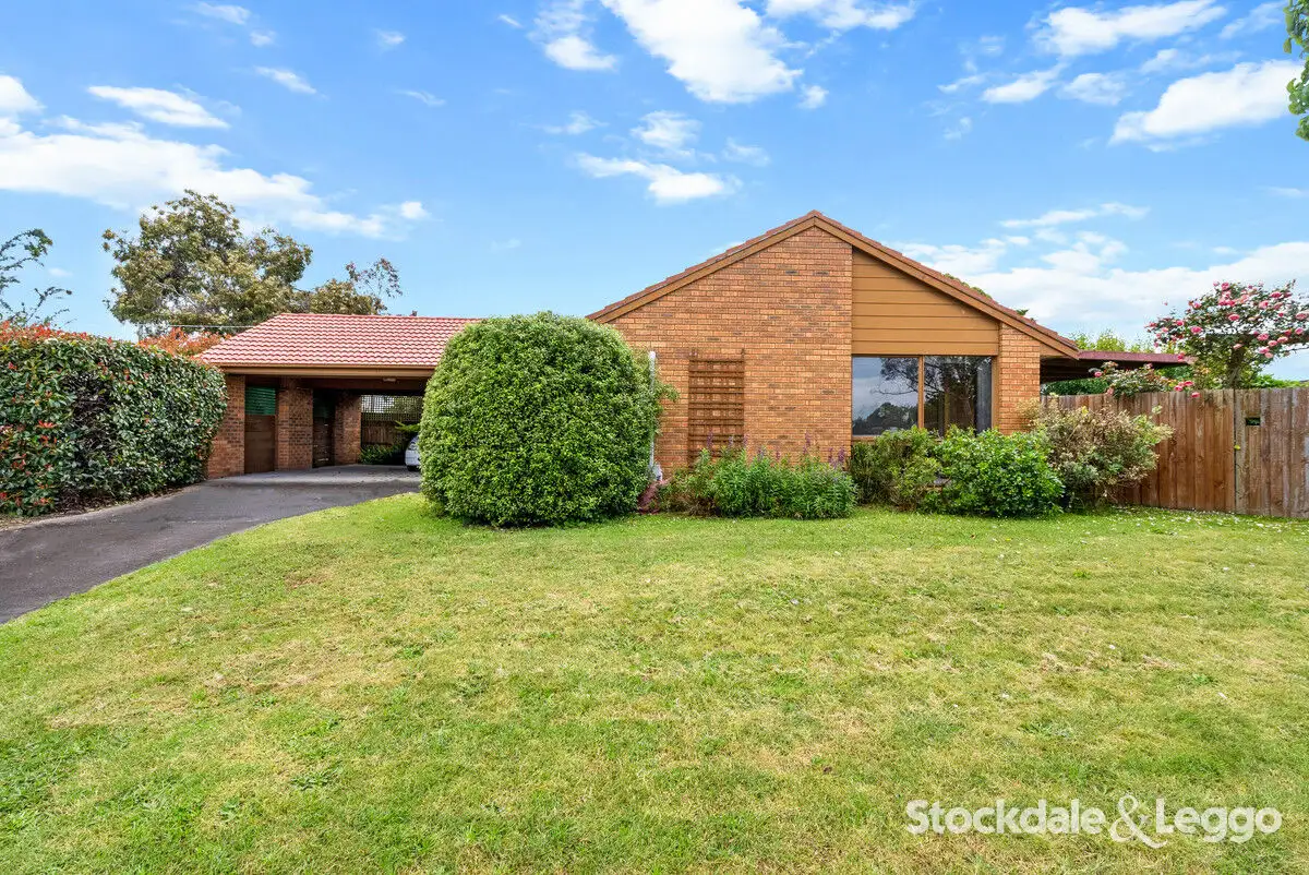 Main view of Homely house listing, 13 Morgan Drive, Traralgon VIC 3844