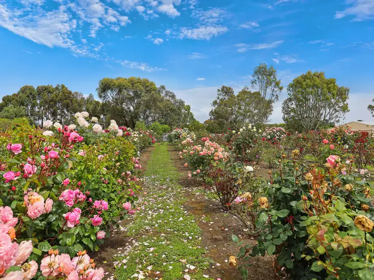 Fifth view of Homely land listing, 62 Hyland Street, Mortlake VIC 3272