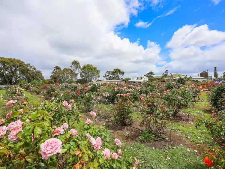 Sixth view of Homely land listing, 62 Hyland Street, Mortlake VIC 3272