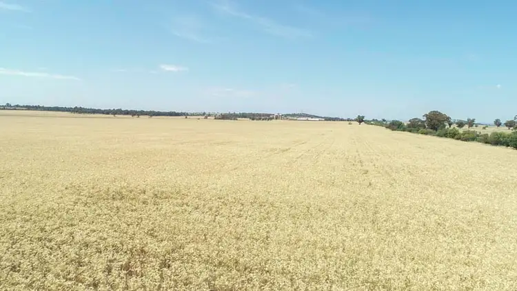 Second view of Homely rural property listing, 130 Ootha Road, Ootha NSW 2875