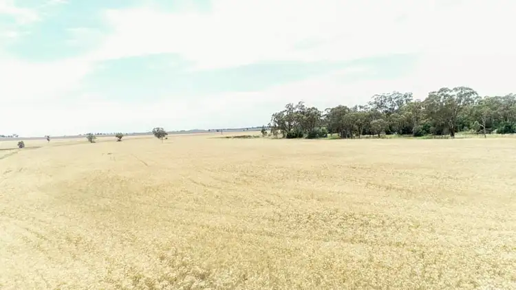 Fourth view of Homely rural property listing, 130 Ootha Road, Ootha NSW 2875