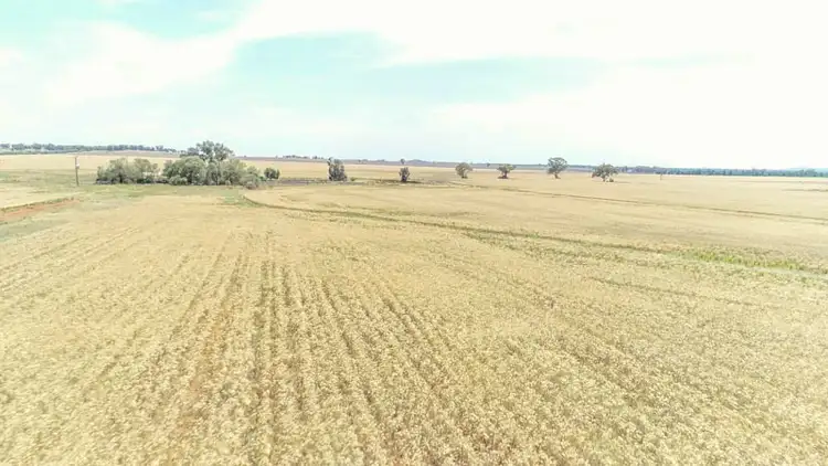 Fifth view of Homely rural property listing, 130 Ootha Road, Ootha NSW 2875