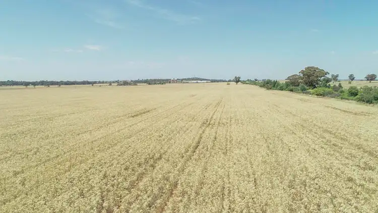 Sixth view of Homely rural property listing, 130 Ootha Road, Ootha NSW 2875