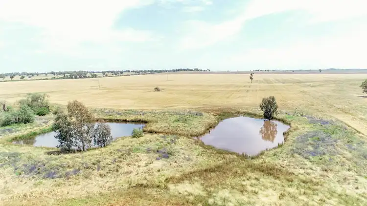 Seventh view of Homely rural property listing, 130 Ootha Road, Ootha NSW 2875
