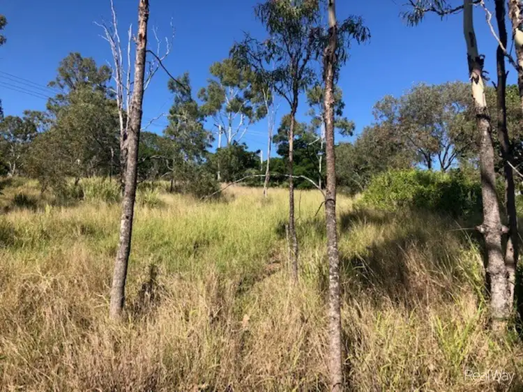 20 Darcy Street, Mount Morgan QLD 4714
