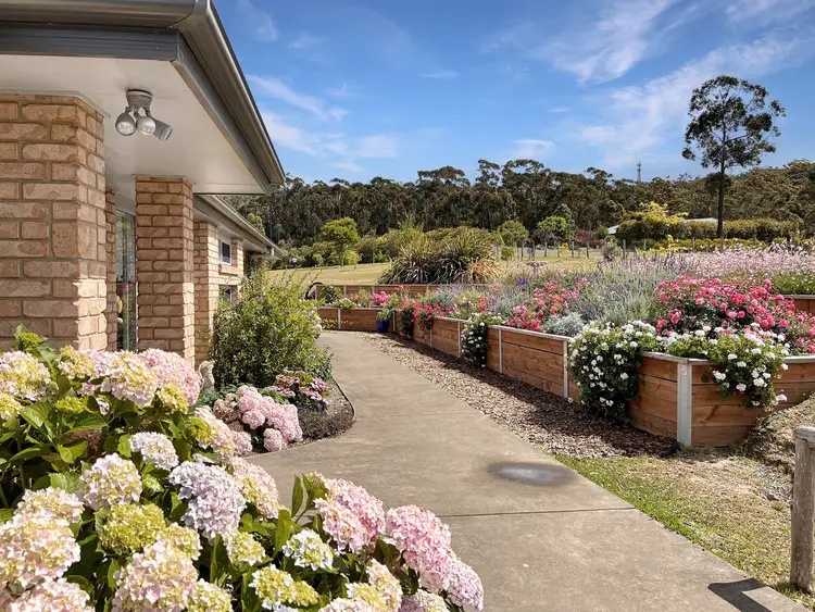 Fifth view of Homely house listing, 132 Toallo Street, Pambula NSW 2549