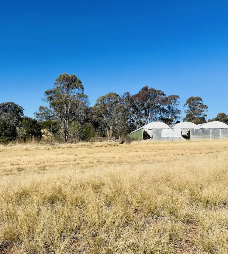 LOT 14 Amorosa Street, Cabarlah QLD 4352