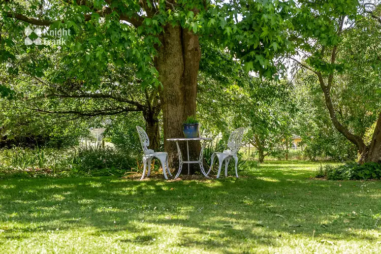 Fifth view of Homely house listing, 18 Fry Street, Ringarooma TAS 7263