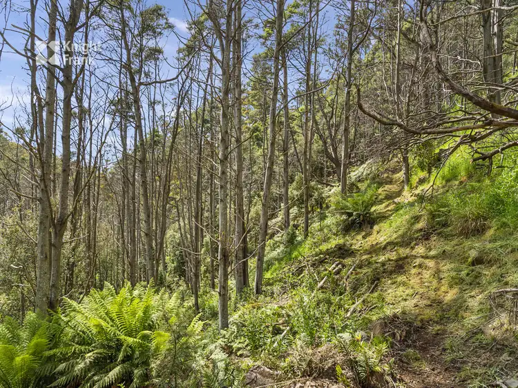 Fourth view of Homely land listing, LOT 7 Kaoota Road, Kaoota TAS 7150