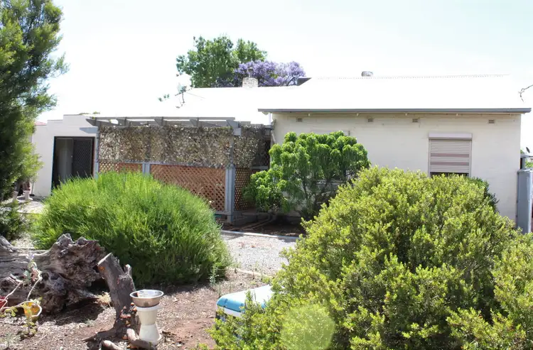 Main view of Homely house listing, 24 Park Terrace, Gladstone SA 5473