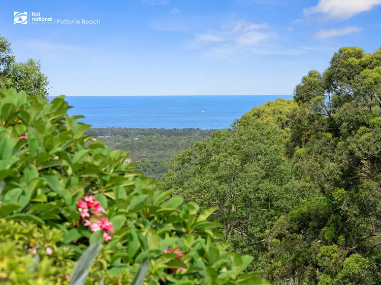 Fourth view of Homely rural property listing, 765 Pottsville Road, Sleepy Hollow NSW 2483