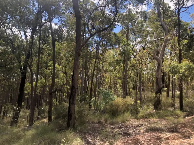 LOT 122 Kunkels Road, White Mountain QLD 4352