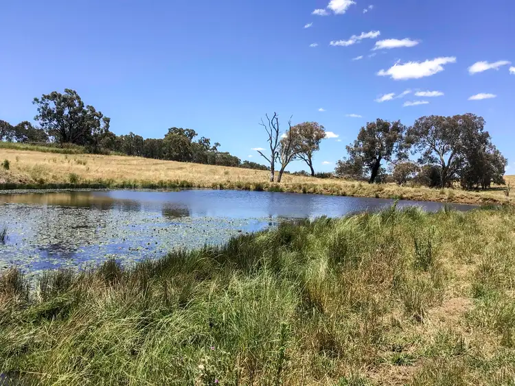 Fourth view of Homely rural property listing, 'Riverview' Lot 101 Strathmore Lane, Molong NSW 2866