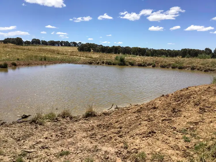 Fifth view of Homely rural property listing, 'Riverview' Lot 101 Strathmore Lane, Molong NSW 2866