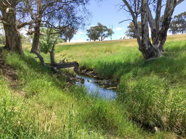 Sixth view of Homely rural property listing, 'Riverview' Lot 101 Strathmore Lane, Molong NSW 2866