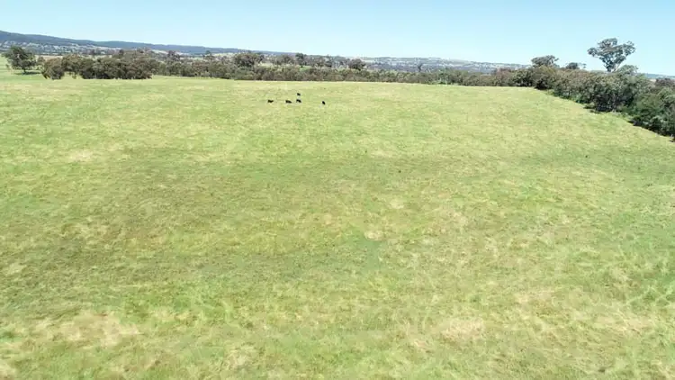 Seventh view of Homely rural property listing, 'Riverview' Lot 101 Strathmore Lane, Molong NSW 2866