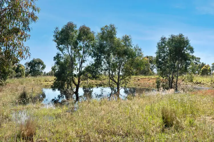Fourth view of Homely rural property listing, 1440 Bannockburn - Shelford Road, Teesdale VIC 3328