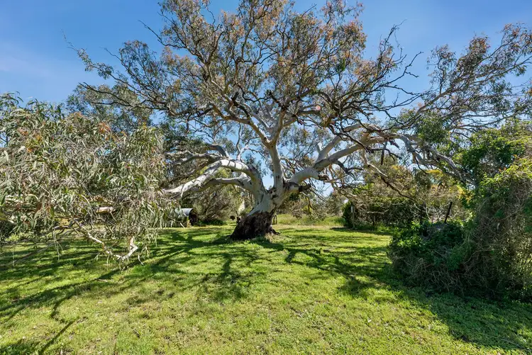 Fifth view of Homely rural property listing, 1440 Bannockburn - Shelford Road, Teesdale VIC 3328