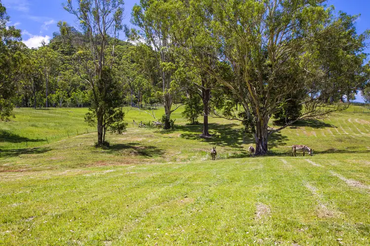 Third view of Homely house listing, 77 - 83 Fleetwood Road, Belli Park QLD 4562