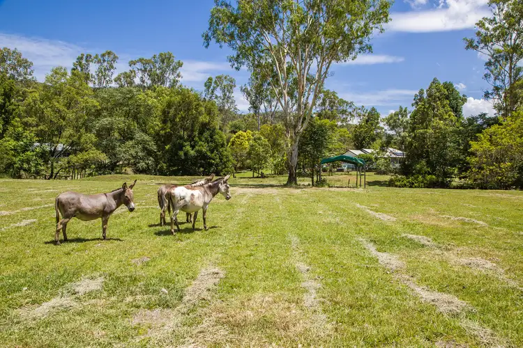 Fourth view of Homely house listing, 77 - 83 Fleetwood Road, Belli Park QLD 4562