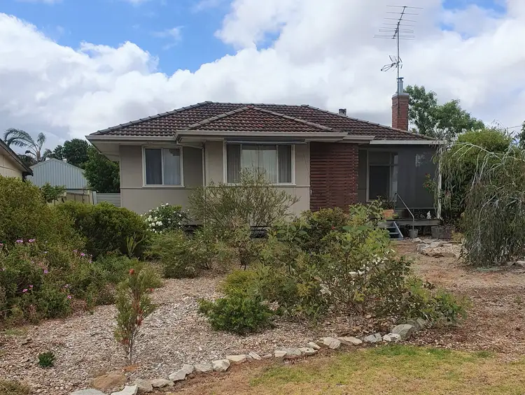 Main view of Homely house listing, 16 Limmer Street, Manjimup WA 6258