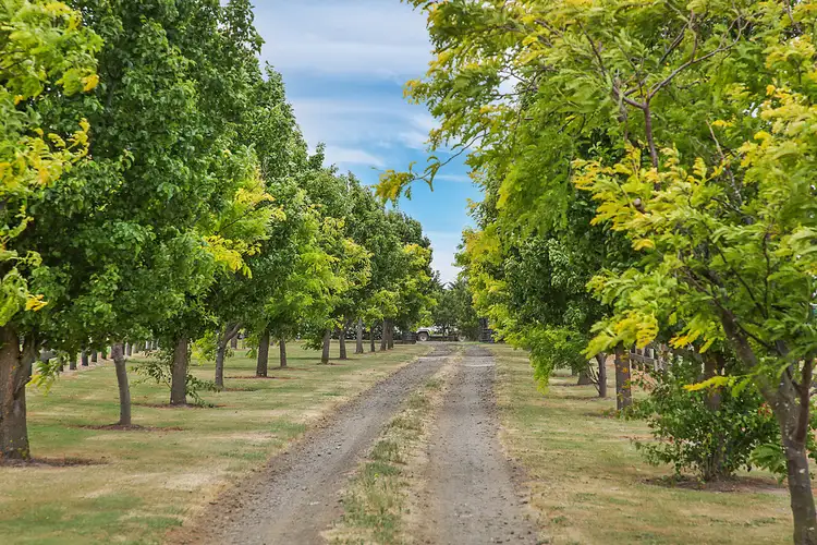 105 Powers Lane, Birregurra VIC 3242