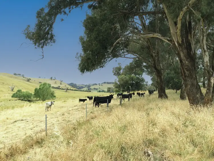 Third view of Homely rural property listing, 'Willow Park' 1324 Errowanbang Road, Errowanbang NSW 2791