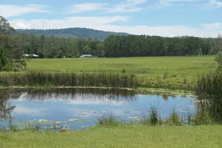Second view of Homely rural property listing, 16348 Clarence Way, Bonalbo NSW 2469