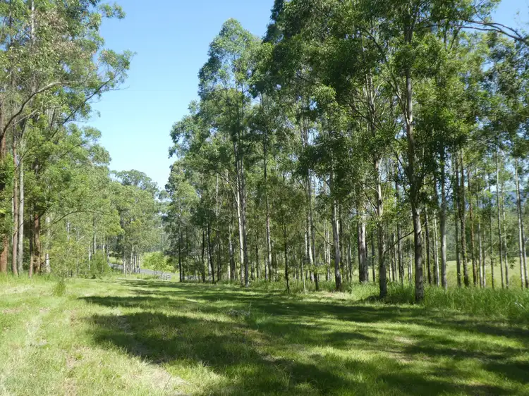 Third view of Homely rural property listing, 16348 Clarence Way, Bonalbo NSW 2469